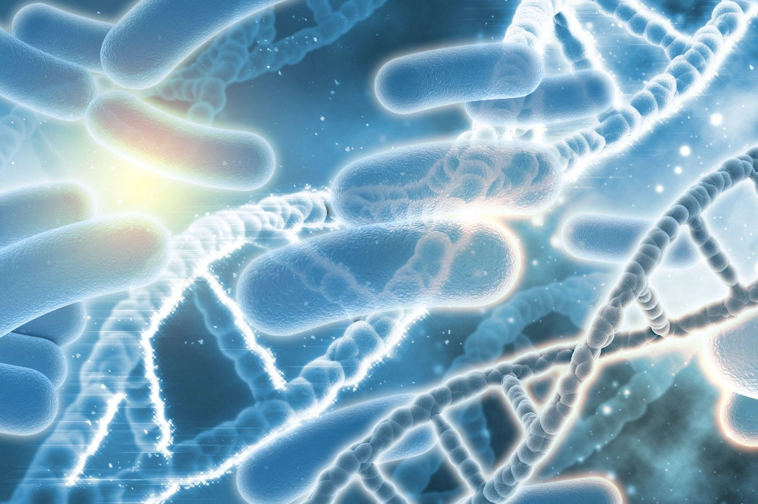 Micromonospora shyamaprasadii -- New Antibiotic-Potential Bacteria Named After Syama Prasad Mookerjee