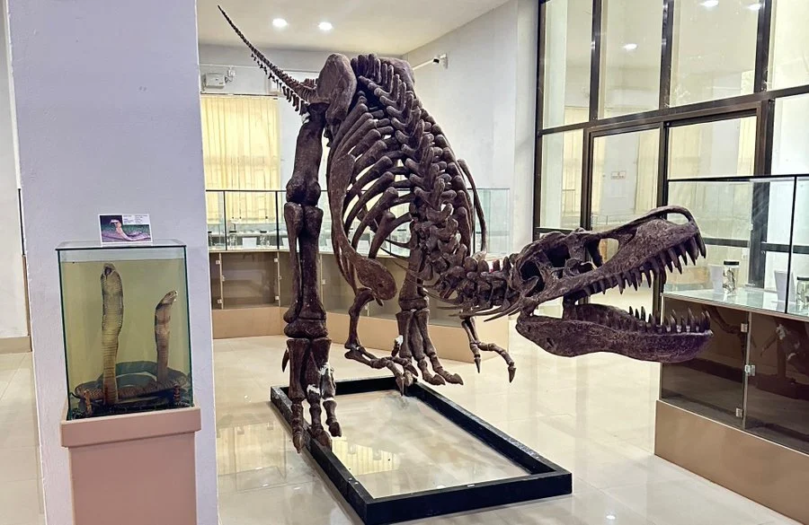 Mizoram University Museum Recognized as National Biological Repository