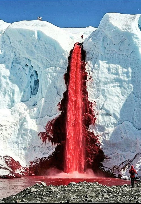Blood Falls Mystery Solved: What's Really Behind Antarctica's "Bleeding" Glacier