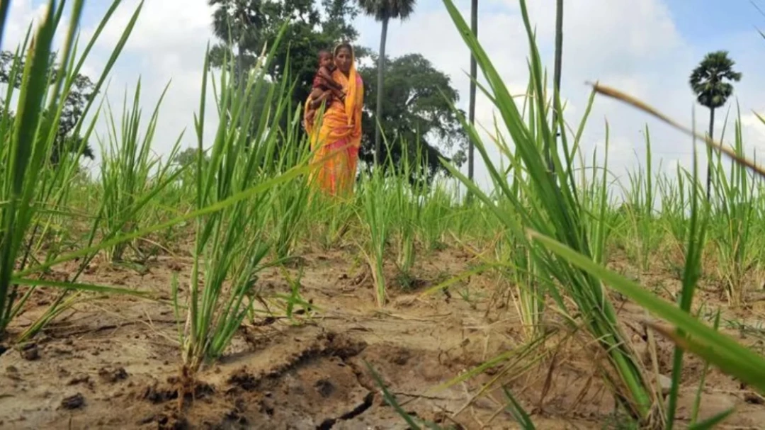 Maharashtra's Women Farmers Empowerment Act, 2026 : Untying Rights from Land Titles