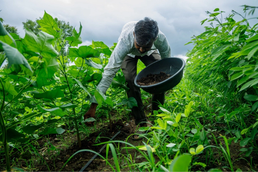 Natural Farming: ICAR Research Findings and National Mission