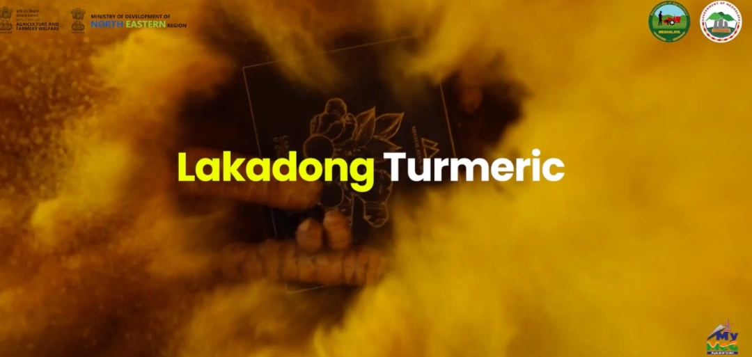 Mission Golden Spice: Boosting Meghalaya's Lakadong Turmeric Value Chain