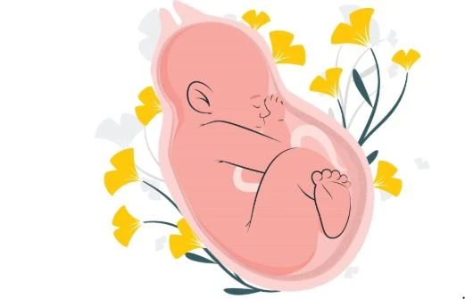 World IVF Day 2026
