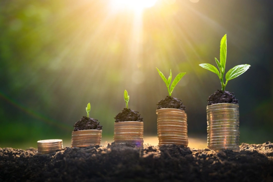 Green Credit Programme