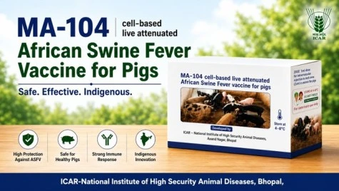 ICAR Develops India's First Indigenous African Swine Fever Vaccine