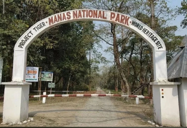Encroachment & Institutional Overlaps in Protected Areas: Manas Tiger Reserve