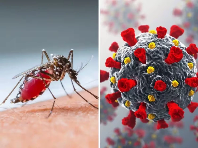 Vector-Borne Diseases in India: Parliamentary Committee Report