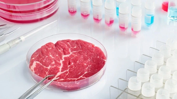 Molecular Farming: Plant-Grown Animal Proteins for Sustainable Meat Alternatives