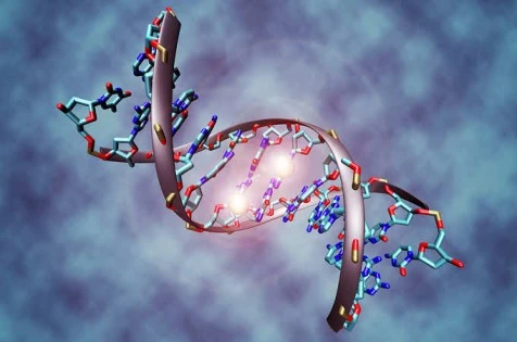 Paramutation: The Epigenetic Phenomenon Defying Classic Mendelian Genetics